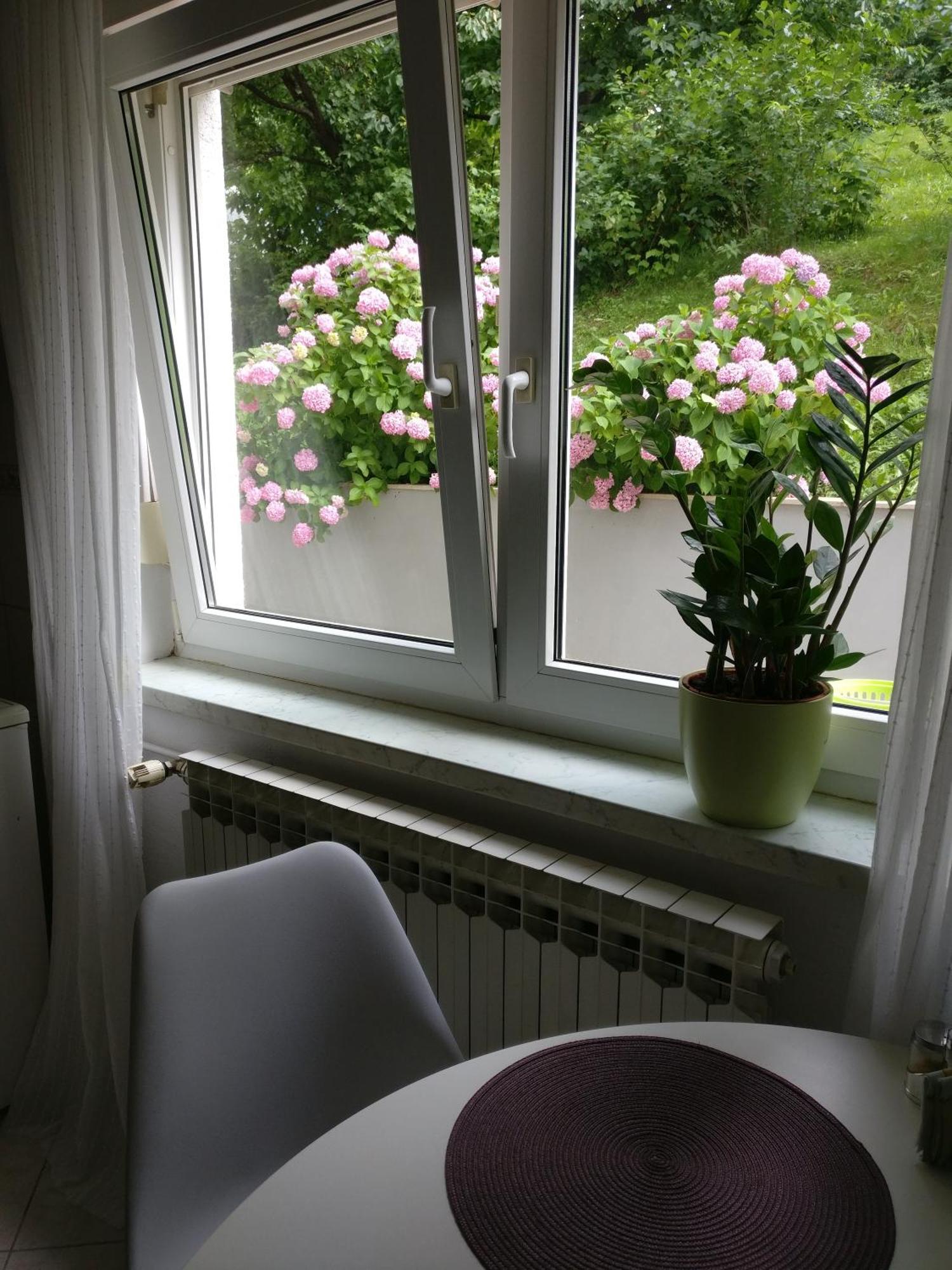 Apartman Malina Karlovac Ngoại thất bức ảnh